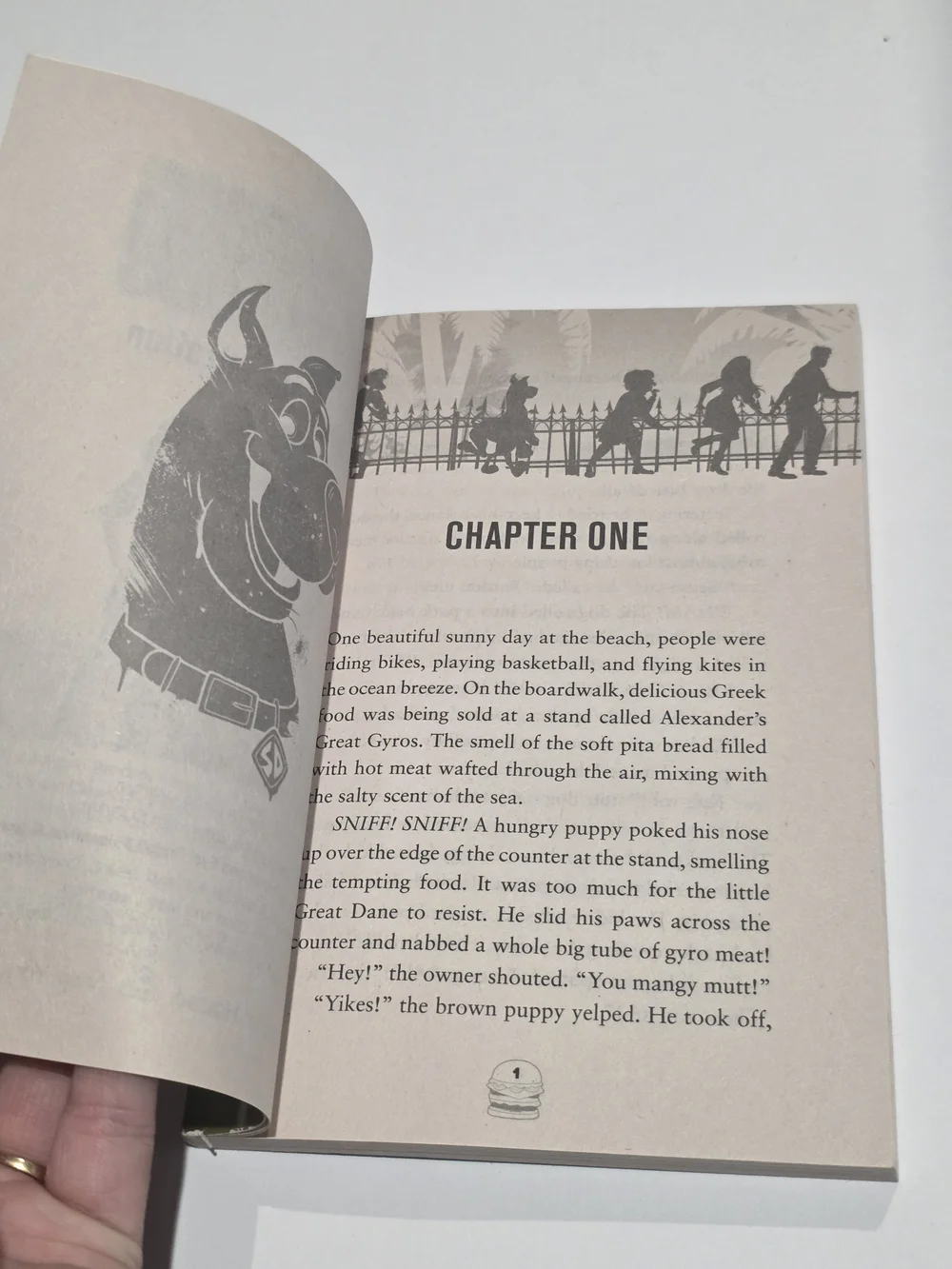 Source Unknown junior novelization